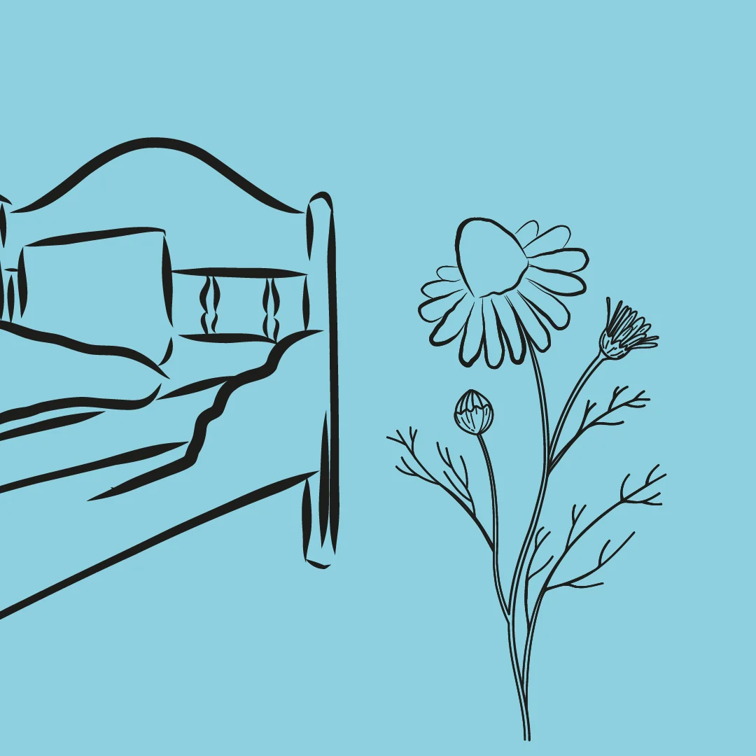 Inspiriert von Landschaft und Natur