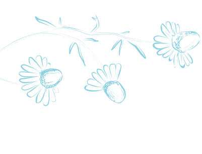 Chamomile