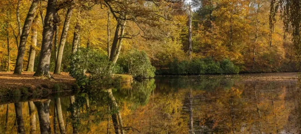 Herbst rund um The North Mill