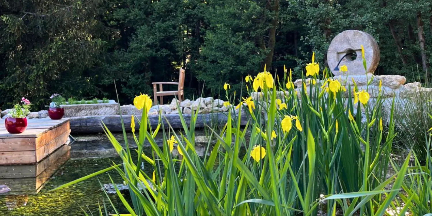 Natürliches Biotop an der Sonnenterrasse